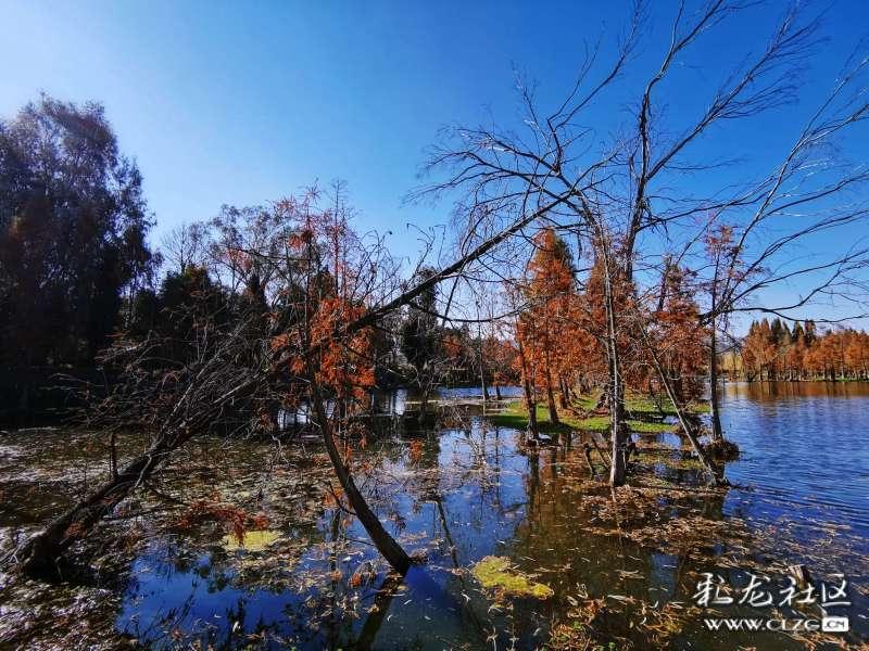 打假王海经营的生意经:无论是西梅汁或五常大米,都是他们烧热的菜