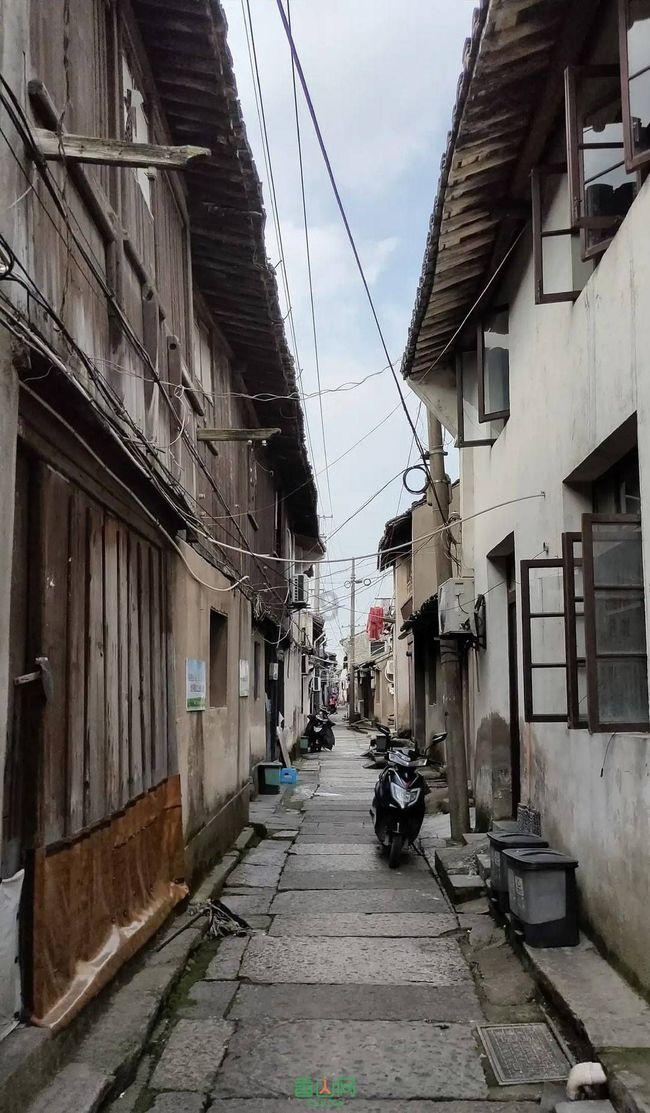 鲫鱼汤怎么做能增鲜